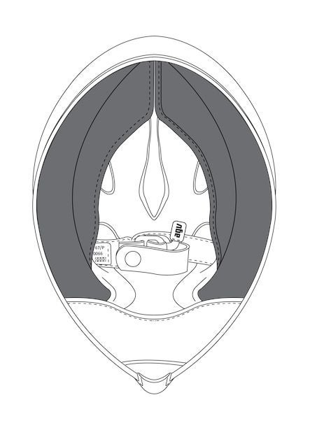 agv-pista-gp-r-cheek-pads-l-ag-kit60221-001-l-figure-1_800x800