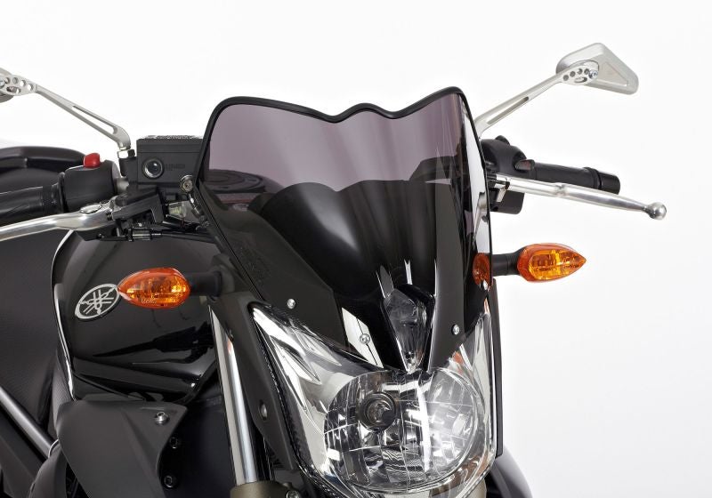 ermax-naked-bike-screen-acrylic-glass-pmma-fe-6531291-figure-1_800x800