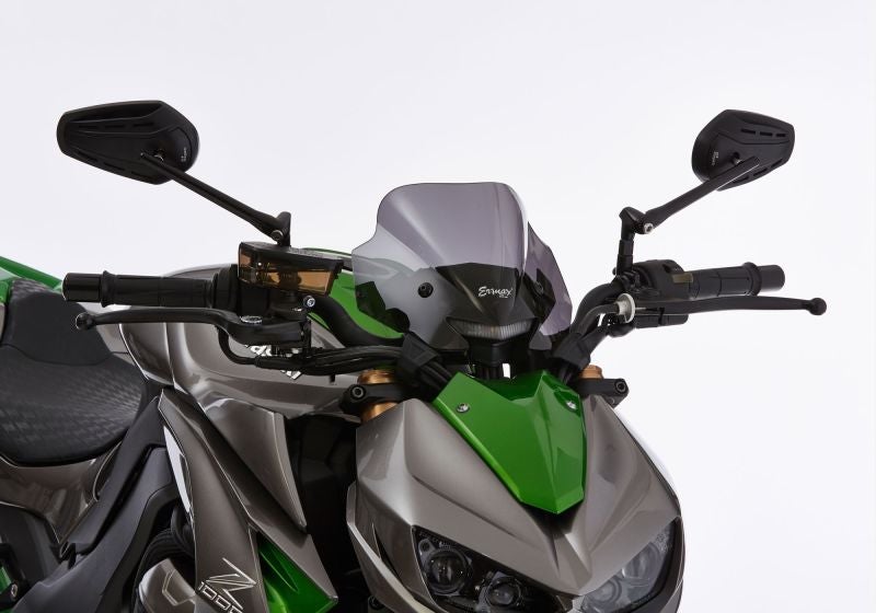 ermax-naked-bike-screen-acrylic-glass-pmma-fe-6531293-figure-1_800x800