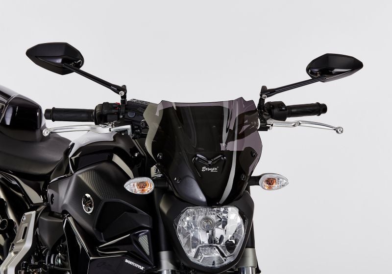 ermax-naked-bike-screen-acrylic-glass-pmma-fe-6531294-figure-1_800x800