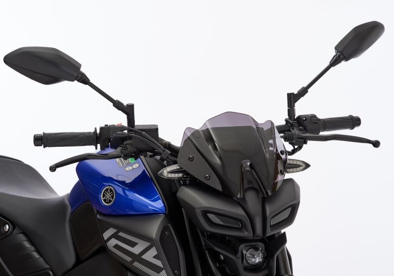 ermax-naked-bike-screen-acrylic-glass-pmma-fe-6531310-figure-1_800x800