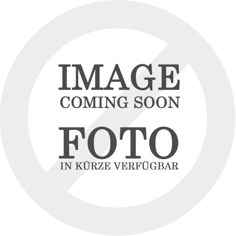 sw-motech-mounting-kit-for-ion-footrest-silver-aprilia-bmw-suzuki-models-sw-frs-05-011-80002-s-figure-1_800x800